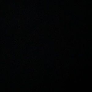 Meet your Posher, Daneil